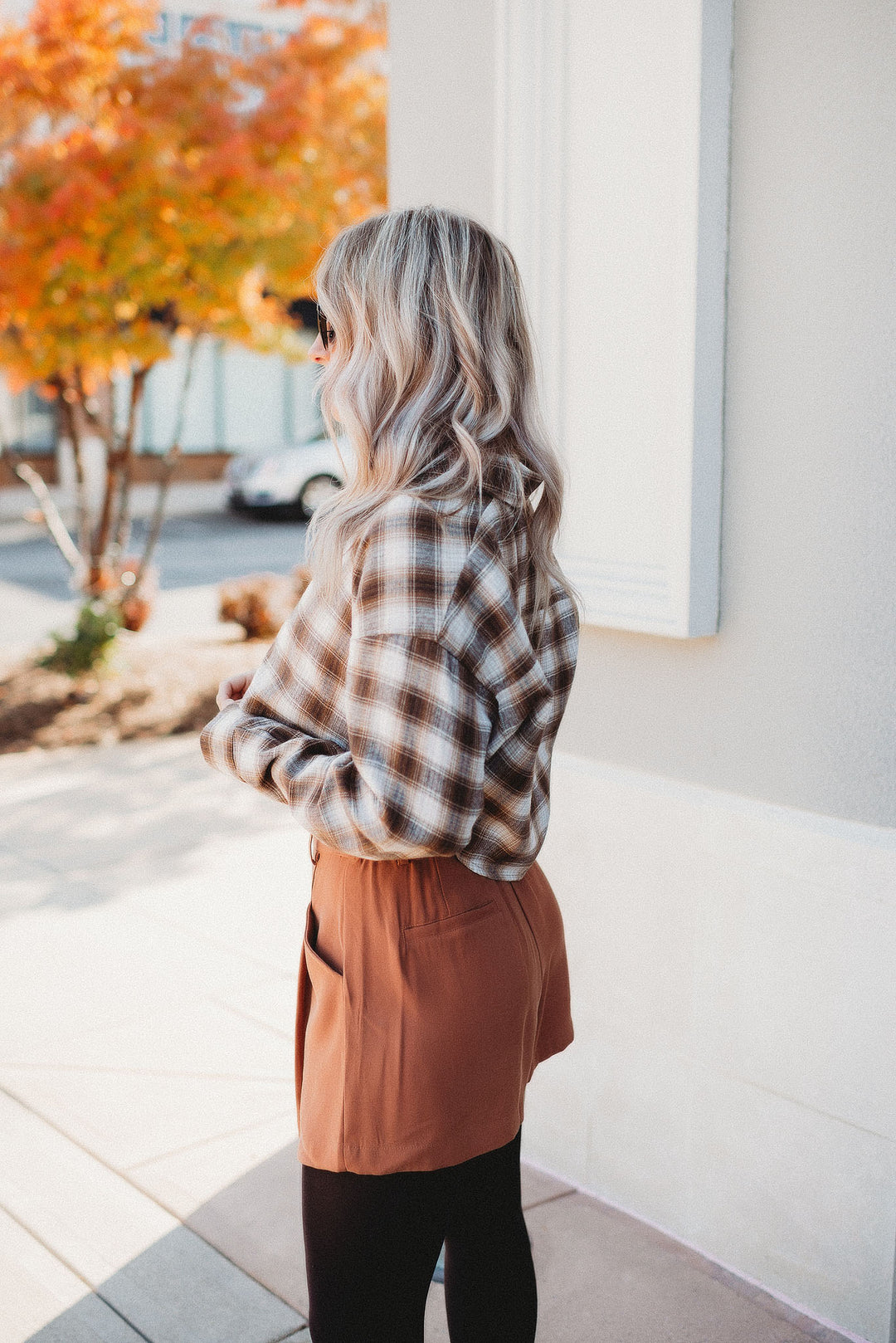 Picnic In The Park Shorts (Mocha)