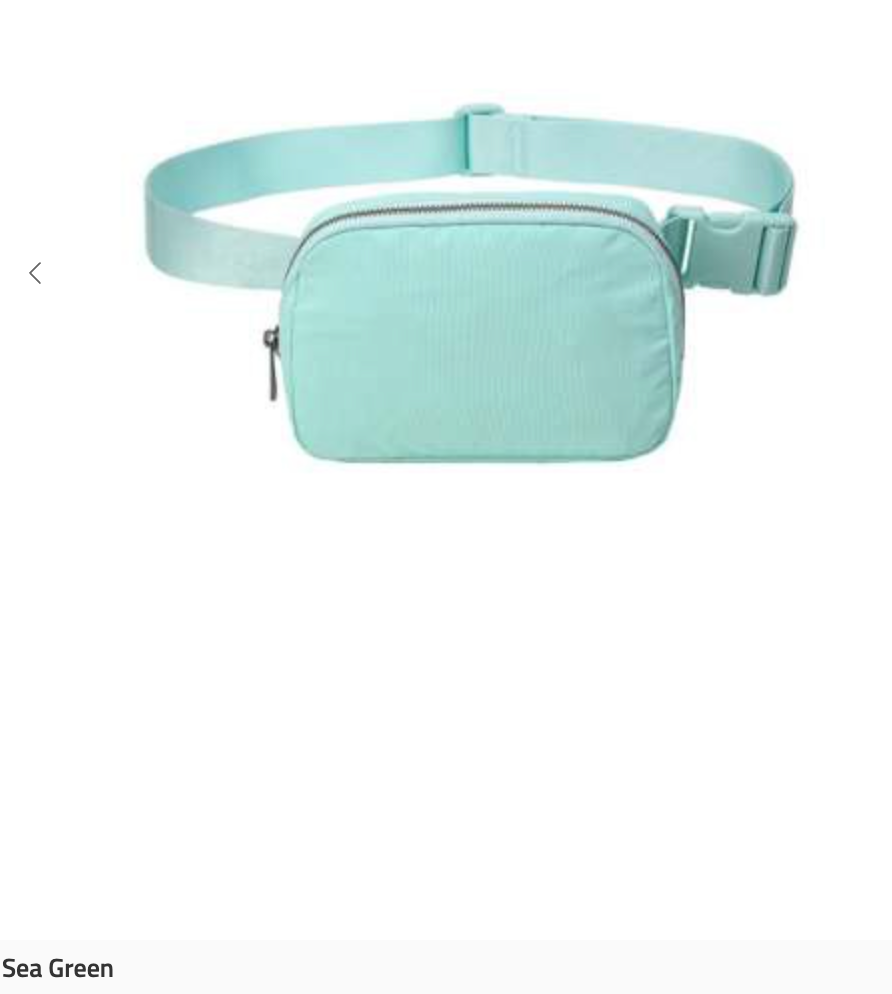 Waterproof Fanny Packs