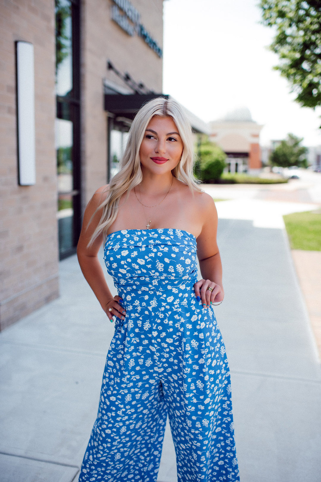 La Jolla Floral Jumpsuit (Blue)